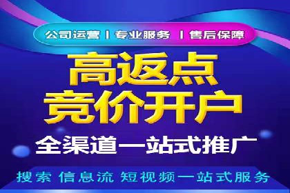 代理开户服务在海外投资中的应用案例